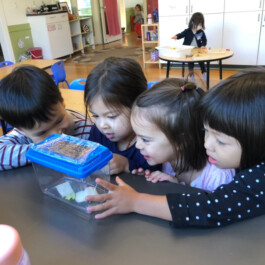  Vancouver Japanese Language School & Japanese Hall