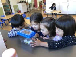 Vancouver Japanese Language School & Japanese Hall