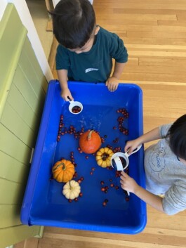 Vancouver Japanese Language School & Japanese Hall