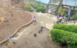  Vancouver Japanese Language School & Japanese Hall